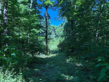 Homesite for sale in Ottawa County, Ohio
