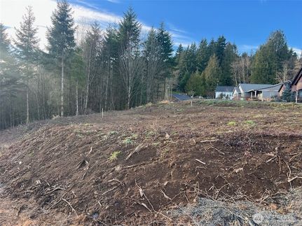 Homesite for sale in Cowlitz County, Washington