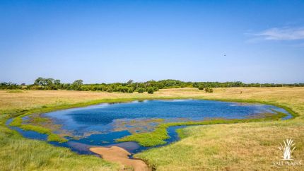Land for sale in Kingman County, Kansas