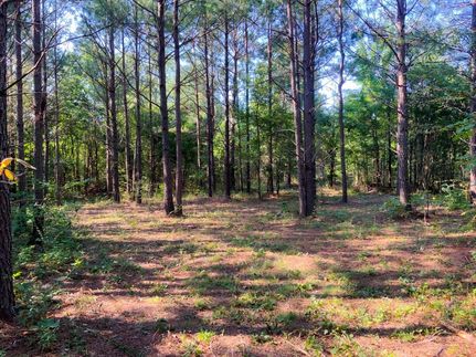 Undeveloped Land for sale in Stewart County, Tennessee