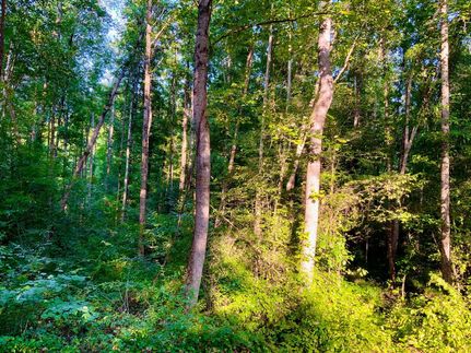 Farm and Ranch for sale in Henry County, Tennessee