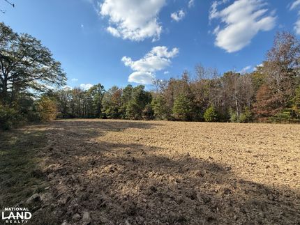Land for sale in Greene County, Alabama