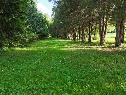 Undeveloped Land for sale in Stephenson County, Illinois
