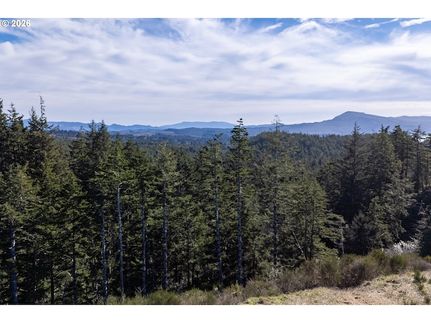 Undeveloped Land for sale in Tillamook County, Oregon