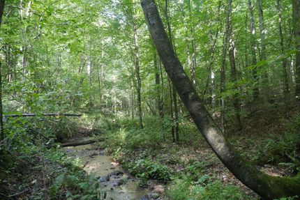 Land for sale in Lee County, Virginia