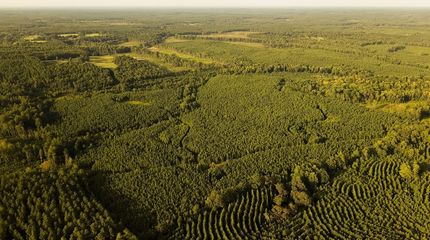Timberland Property for sale in Neshoba County, Mississippi