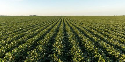 Undeveloped Land for sale in Wood County, Ohio