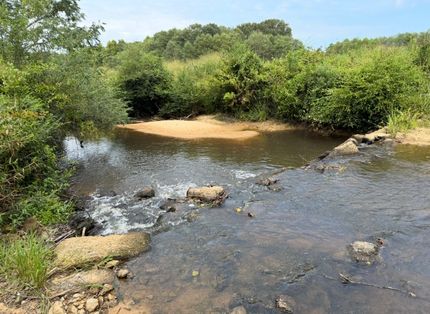 Timberland Property for sale in Lamar County, Alabama