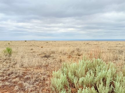 Undeveloped Land for sale in Torrance County, New Mexico