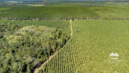 Land for sale in Jackson County, Florida