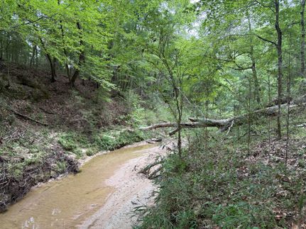 Land for sale in Tyler County, Texas