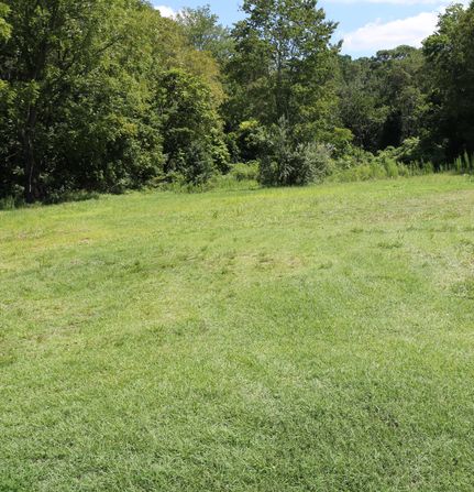 Land for sale in Sussex County, Delaware
