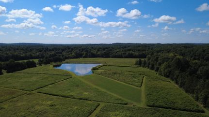 Land for sale in Pope County, Illinois