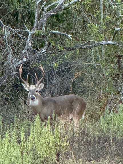Land for sale in Lavaca County, Texas