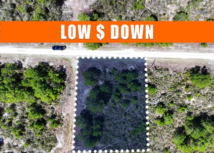 Undeveloped Land for sale in Highlands County, Florida