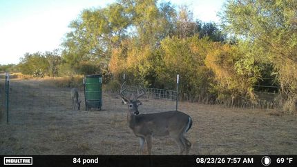 Land for sale in Zapata County, Texas