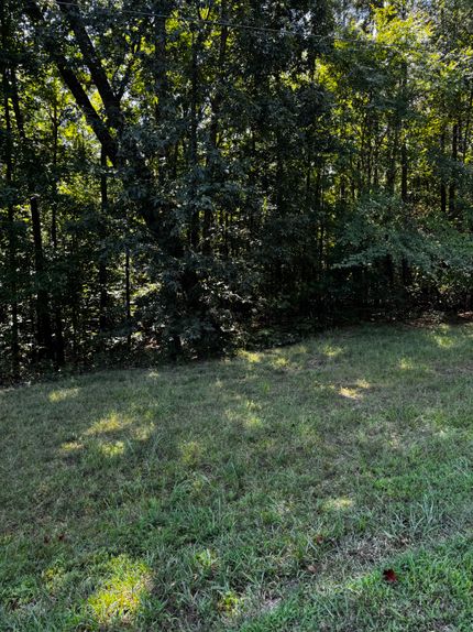 Land for sale in Carroll County, Tennessee