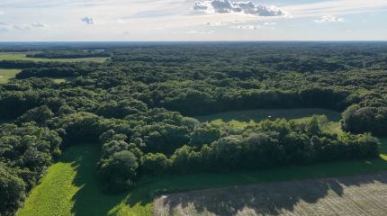 Land for sale in Adams County, Illinois
