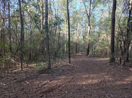 Land for sale in Geneva County, Alabama