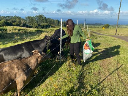 Land for sale in Hawaii County, Hawaii