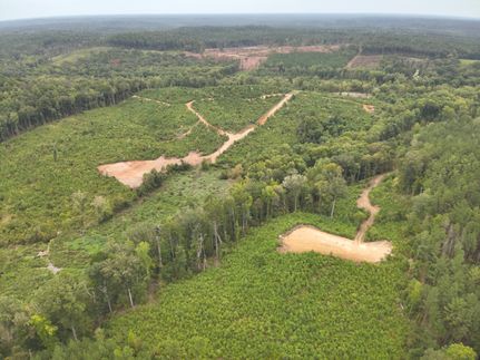 Land for sale in Choctaw County, Alabama