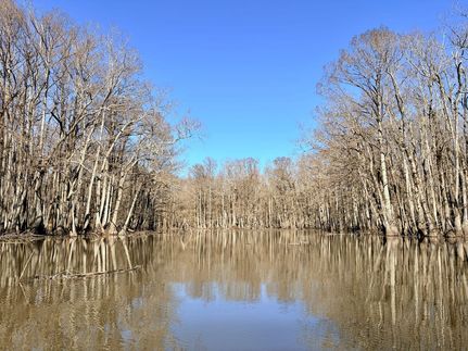 Land for sale in Carroll County, Mississippi