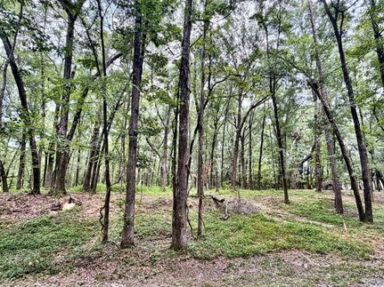 Land for sale in Monroe County, Georgia