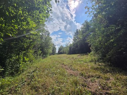 Recreational Property for sale in Tioga County, New York