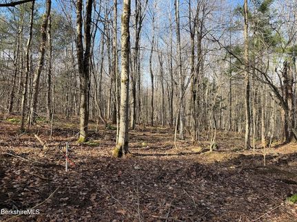 Land for sale in Hampshire County, Massachusetts