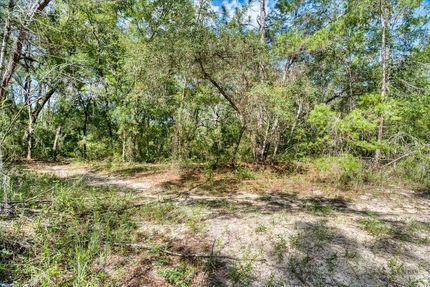 Timberland Property for sale in Putnam County, Florida