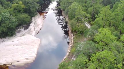 Land for sale in Ware County, Georgia