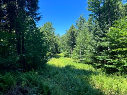 Land for sale in Oneida County, New York