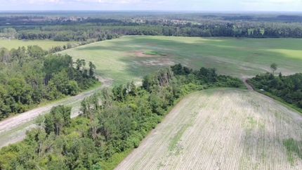 Land for sale in Jeff Davis County, Georgia