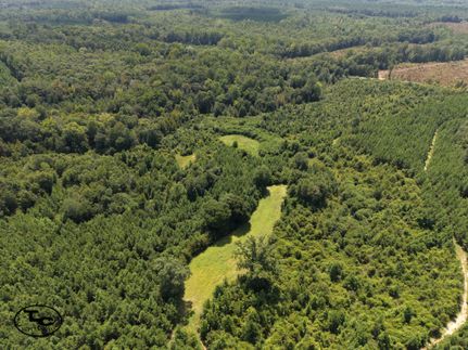 Land for sale in Marengo County, Alabama