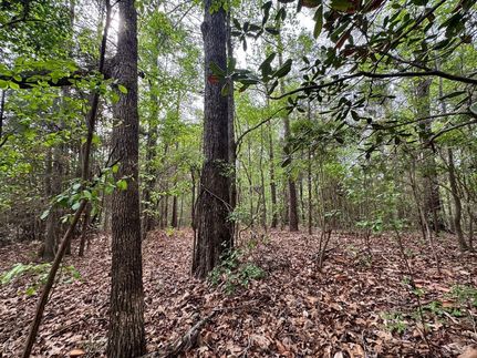 Land for sale in Montgomery County, Alabama
