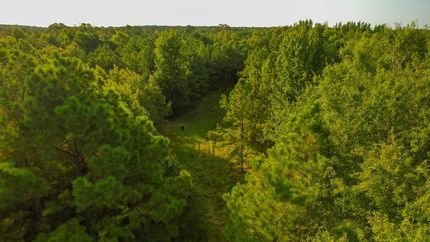 Land for sale in Red River County, Texas