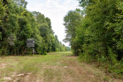 Commercial Property for sale in East Feliciana Parish, Louisiana