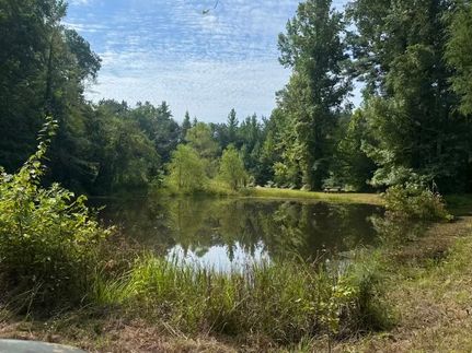 Land for sale in Pickens County, Alabama