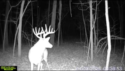 Land for sale in Howard County, Missouri