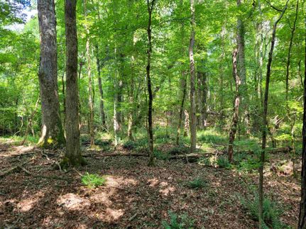 Timberland Property for sale in Chambers County, Alabama