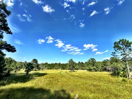 Land for sale in Peach County, Georgia