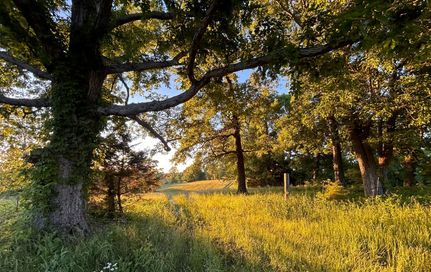 Land for sale in Montgomery County, Tennessee