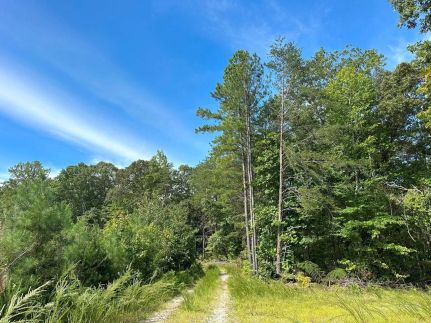 Land for sale in Essex County, Virginia