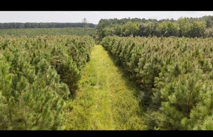 Land for sale in Walthall County, Mississippi