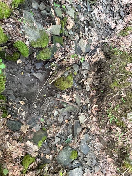 Land for sale in Tioga County, New York