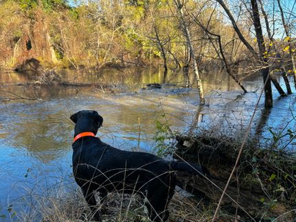 Riverfront Property for sale in Leon County, Florida