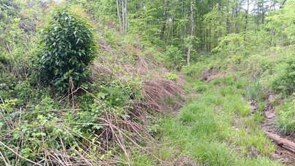 Undeveloped Land for sale in Meigs County, Ohio