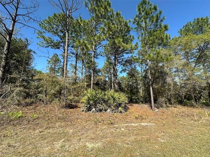Homesite for sale in Citrus County, Florida