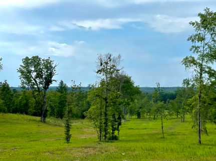 Land for sale in Oglethorpe County, Georgia