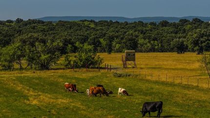 Land for sale in Jack County, Texas